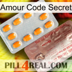 Love Secret Code new13